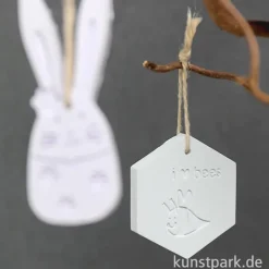 Gips Gießpulver Raysin 100 - weiß