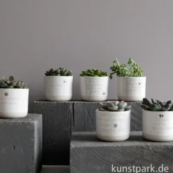 Good old friends - Mini Blumentopf, Wie schön, dass es Dich gibt