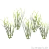 Mini Gräser, 9 cm, 5 Stück