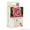 Sennelier Ölpastellstifte - 6er Set, blühende Rose